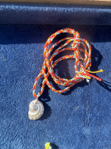 Shells on cords