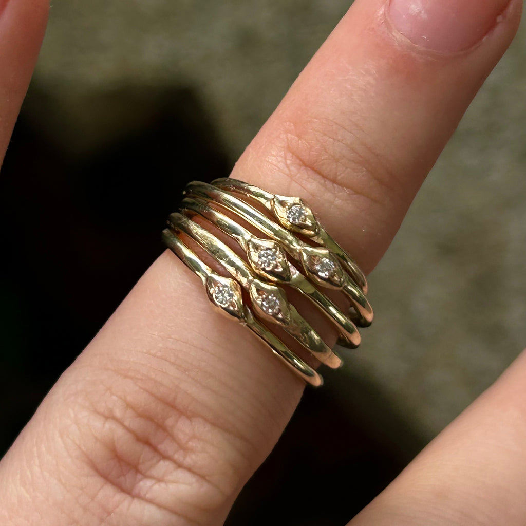 Palatine Rings