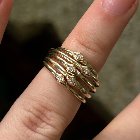 Palatine Rings